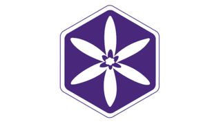 CoCreate Humanity