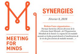 Projet Synergies Meeting for Minds en partenariat avec le Graap